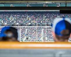 Sheraton Heathrow Hotel