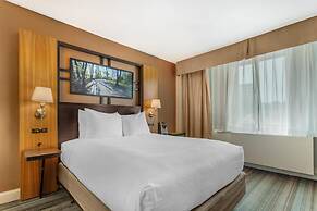 Best Western Queens Gold Coast