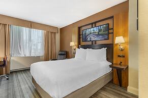 Best Western Queens Gold Coast