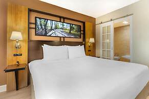 Best Western Queens Gold Coast
