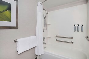 Courtyard by Marriott Tampa North/I-75 Fletcher