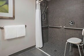 Courtyard by Marriott Tampa North/I-75 Fletcher