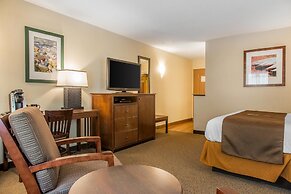 The Black Swan Lee - Lenox, an Ascend Collection Hotel