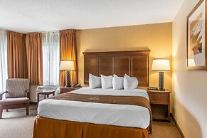 The Black Swan Lee - Lenox, an Ascend Collection Hotel