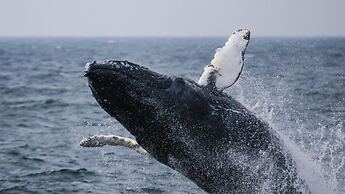 Ocean House Hotel at Bass Rocks