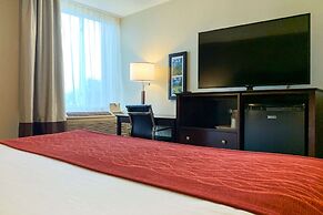 Comfort Inn & Suites East Hartford - Hartford