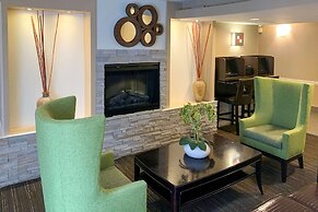 Comfort Inn & Suites East Hartford - Hartford