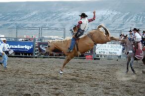 Holiday Inn Rock Springs by IHG