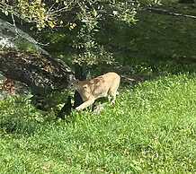 Holiday Inn Express Boone by IHG