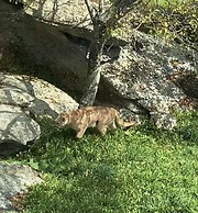 Holiday Inn Express Boone by IHG