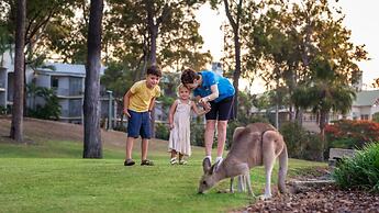 InterContinental Sanctuary Cove Resort by IHG