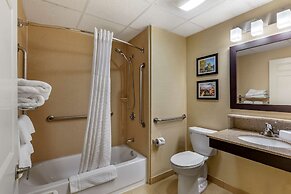 Comfort Inn Rockland - Boston