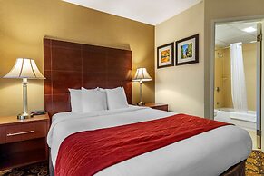 Comfort Inn Rockland - Boston