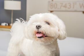 Beach House Resort Hilton Head