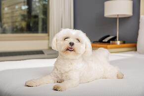 Beach House Resort Hilton Head