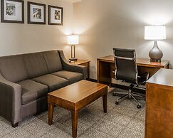 Comfort Inn & Suites Lakeland North I-4