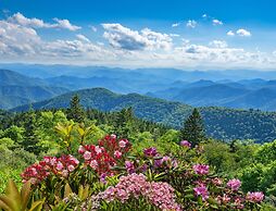 Holiday Inn Asheville East-Blue Ridge PKWY by IHG