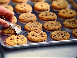 DoubleTree by Hilton Williamsburg