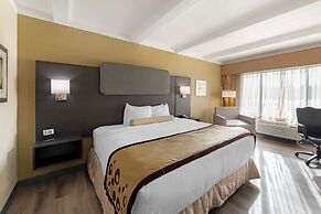 Best Western Plus Madison-Huntsville Hotel