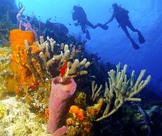 InterContinental Presidente Cozumel Resort Spa by IHG