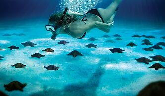 InterContinental Presidente Cozumel Resort Spa by IHG