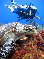 InterContinental Presidente Cozumel Resort Spa by IHG