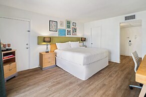 Palm Tree Club Miami Hotel