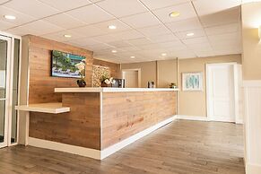 Palm Tree Club Miami Hotel