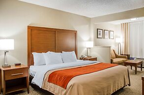 Comfort Inn Idaho Falls