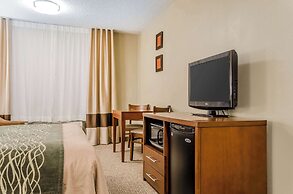 Comfort Inn Idaho Falls