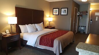Comfort Inn Idaho Falls