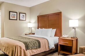 Comfort Inn Idaho Falls