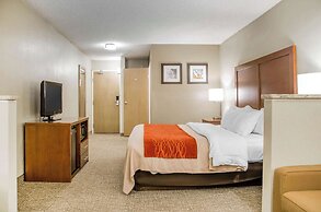 Comfort Inn Idaho Falls