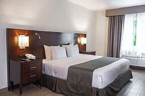 Best Western Plus Monterrey Colon