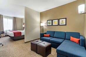 Comfort Inn & Suites Salina North