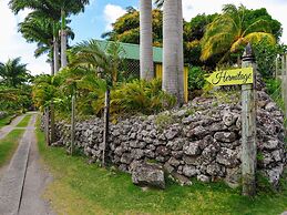 Hermitage Nevis