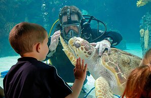 Holiday Inn Cincinnati Airport by IHG