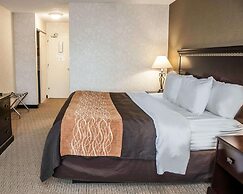 Quality Inn Seekonk - Providence