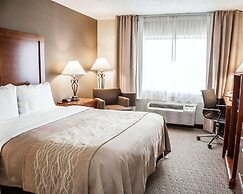 Quality Inn Seekonk - Providence
