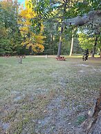 Wyndham Garden Williamsburg Busch Gardens Area