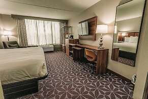 Wyndham Garden Williamsburg Busch Gardens Area