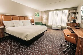 Wyndham Garden Williamsburg Busch Gardens Area