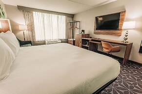 Wyndham Garden Williamsburg Busch Gardens Area