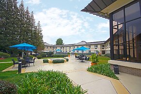 Holiday Inn Express Walnut Creek by IHG