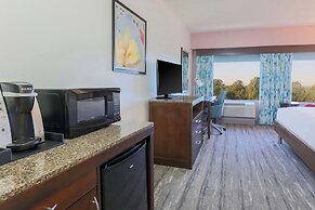 Hilton Garden Inn Raleigh-Durham/Research Triangle Park