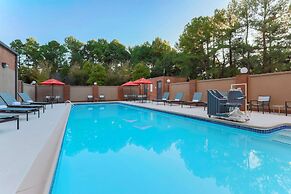Hilton Garden Inn Raleigh-Durham/Research Triangle Park