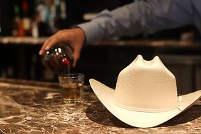 Wyndham Houston near NRG Park/Medical Center