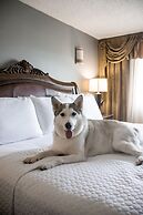 Wyndham Houston near NRG Park/Medical Center