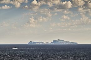 De Bonart Naples, Curio Collection by Hilton