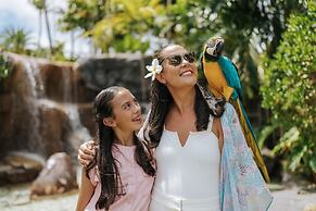 Hilton Aruba Caribbean Resort and Casino